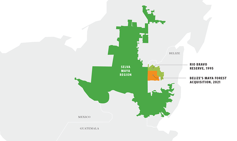 Map of Belize Maya Forest