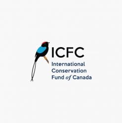 ICFC – Rainforest Trust
