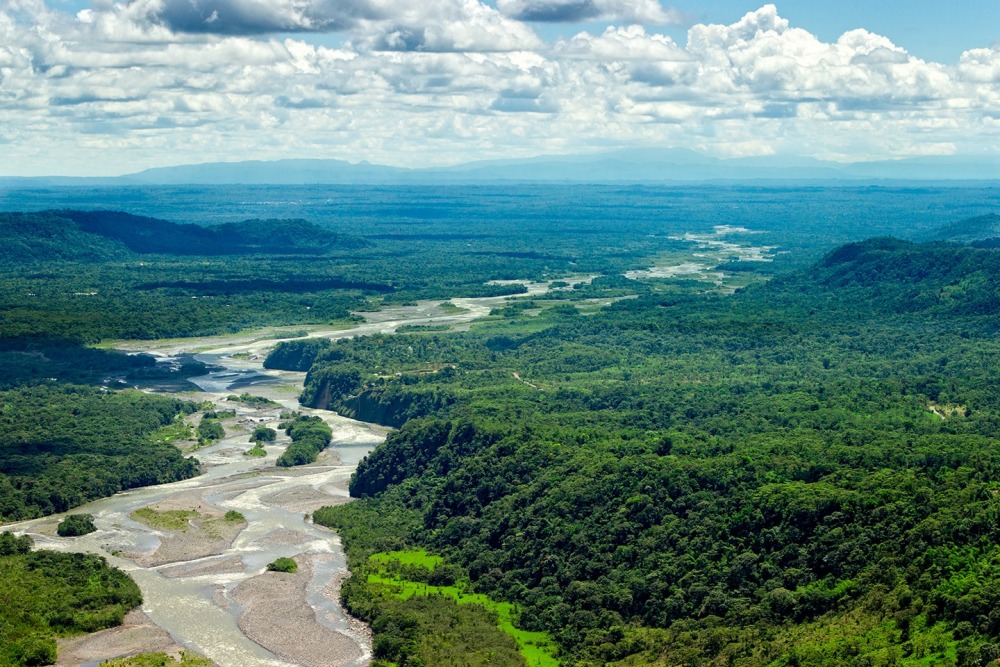 Amazon River