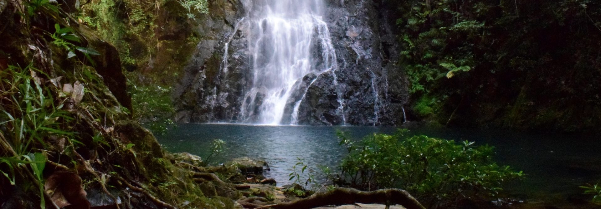 Waterfall in the Maya Forest