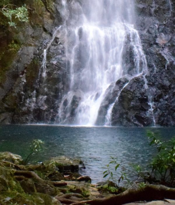 Waterfall in the Maya Forest