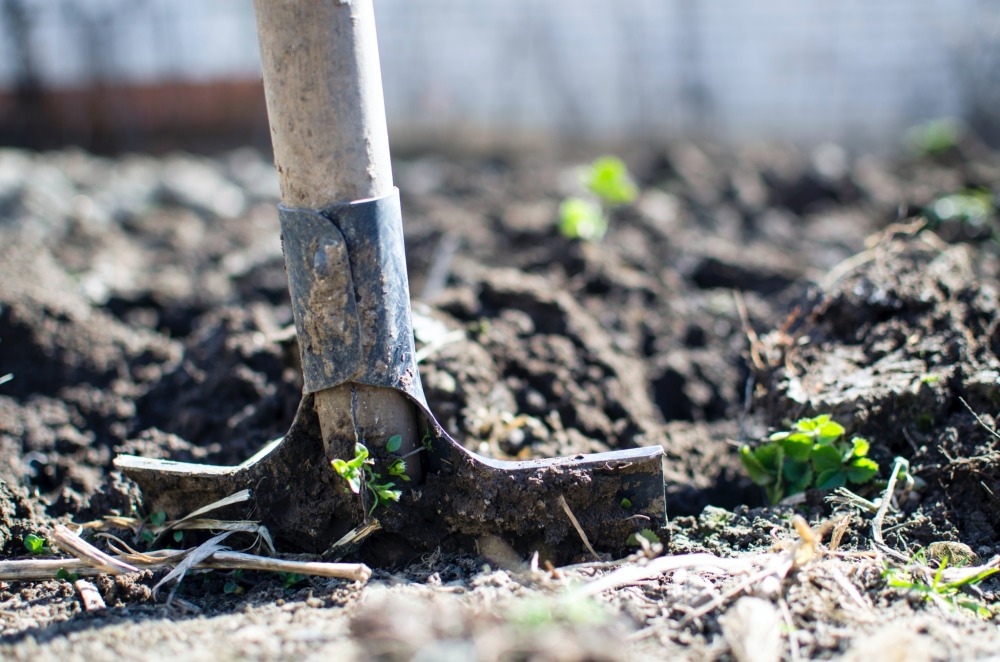 Shovel in dirt.