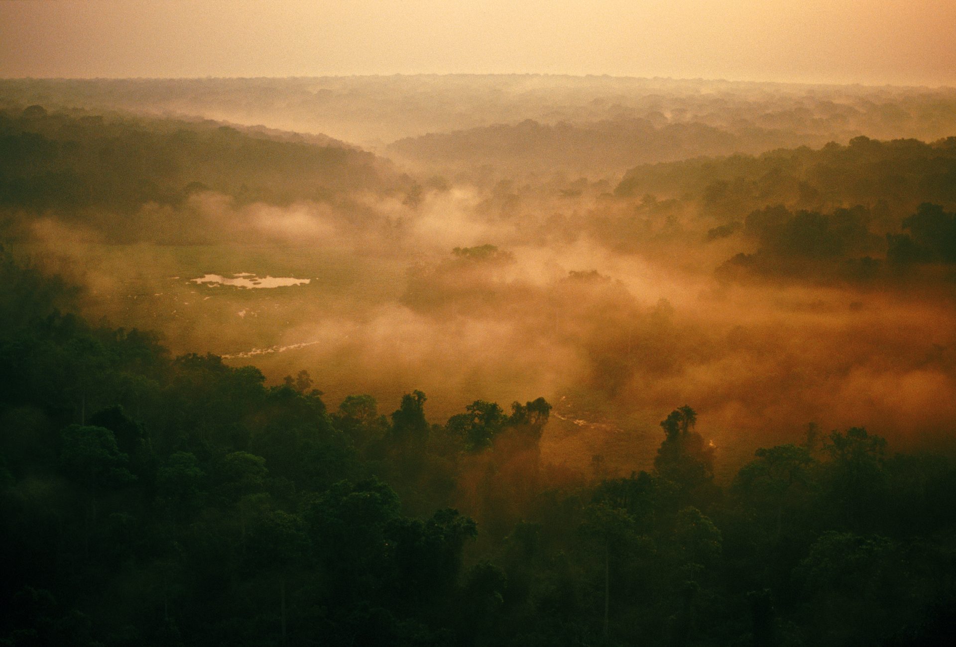 The Congo Basin