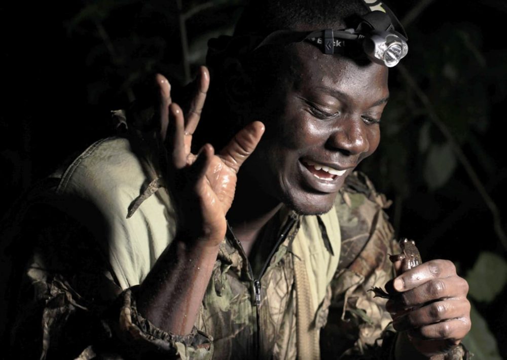 Rainforest Guardian discovering the Togo Slippery Frog