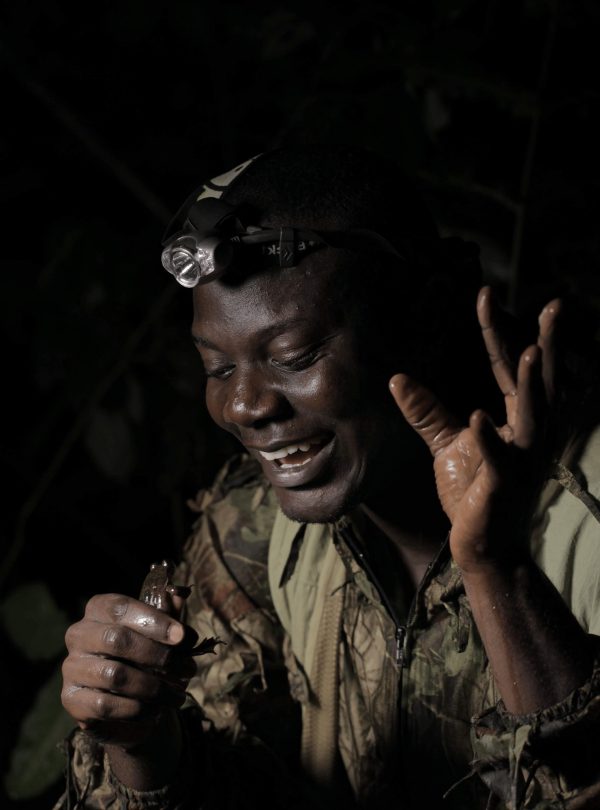 Guardian Caleb Ofori, from Herp Conservation Ghana, with Togo Slippery Frog.