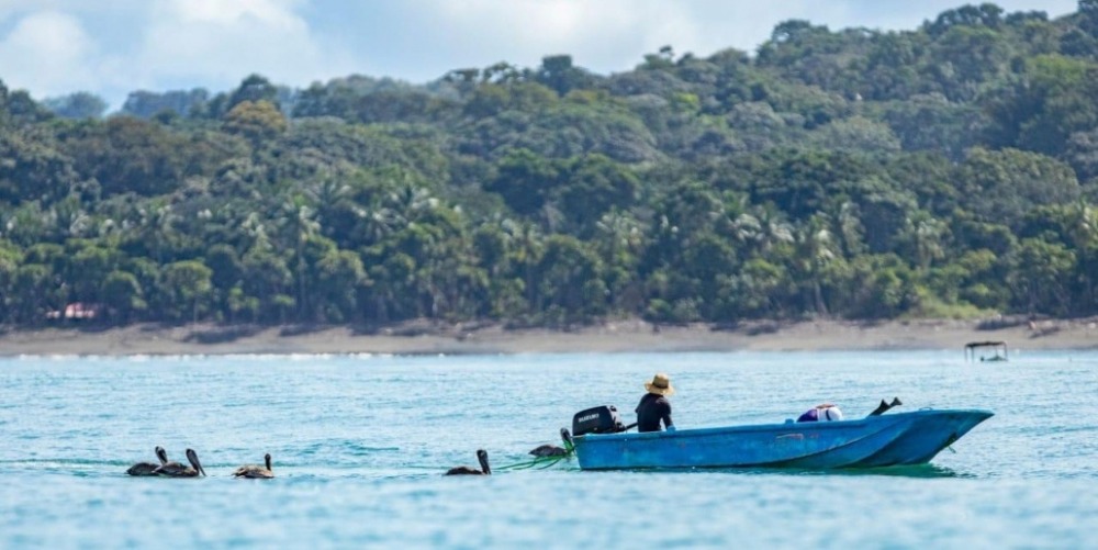 Misión Tiburón team conduction a patrol on water.
