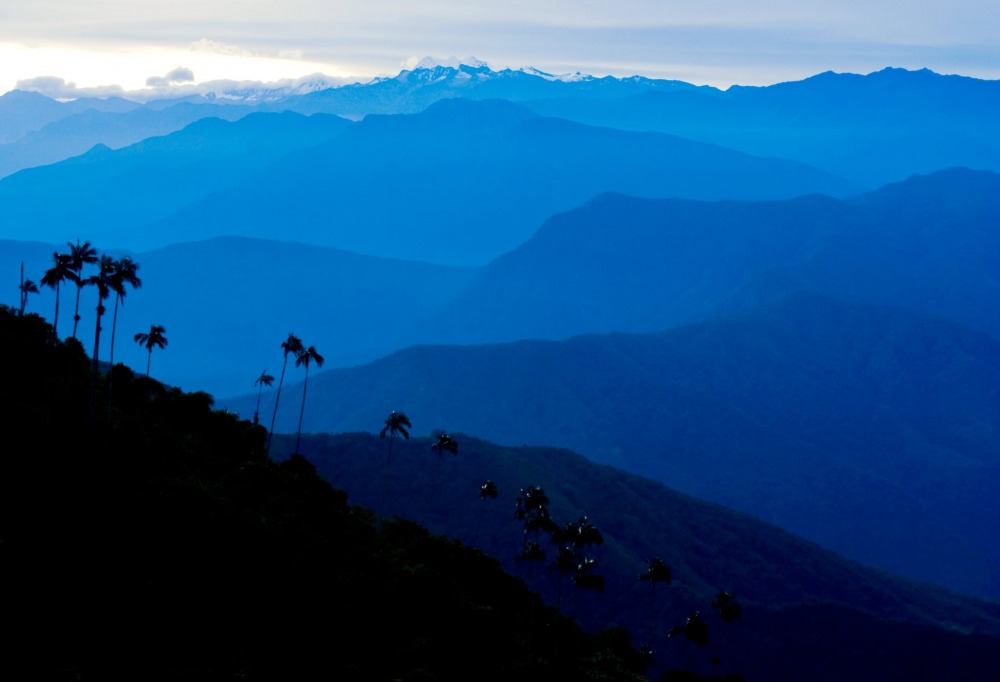 The landscape of El Dorado, Colombia