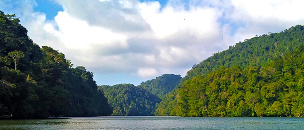 Lake surrounded by hills and forests