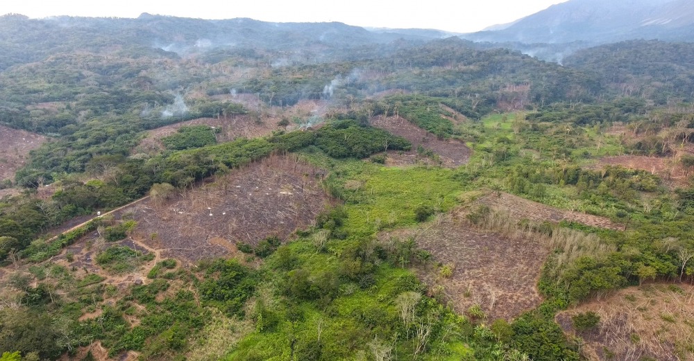 deforestation in Kumbira Forest