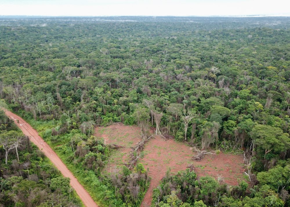 Illegal Clearing at the Reserve Edge