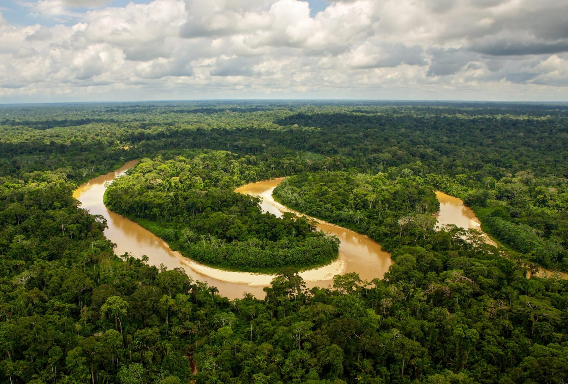 case study of amazon basin