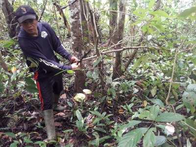 Person removing a poachers snare