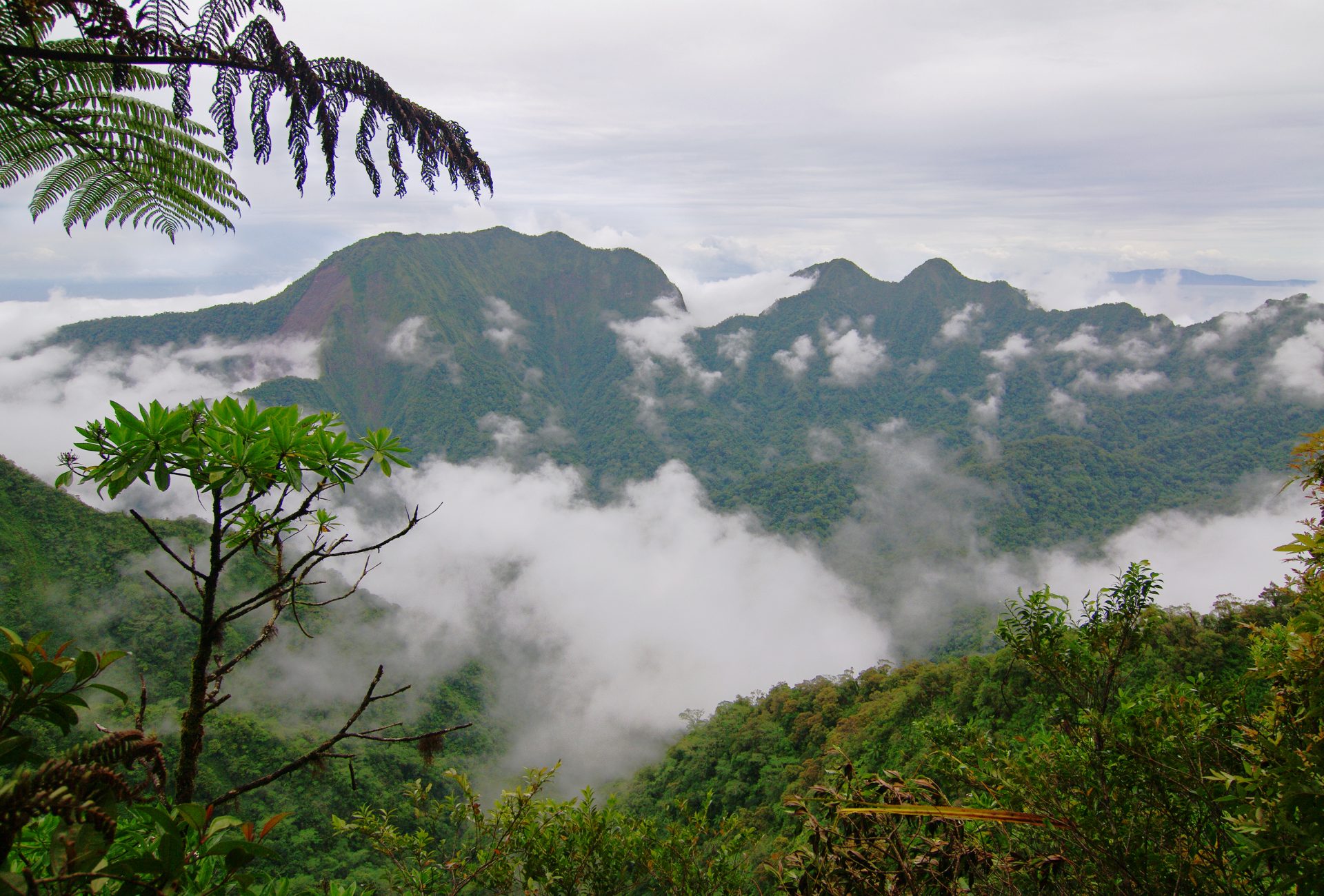 Fog over the Solomon Islands
