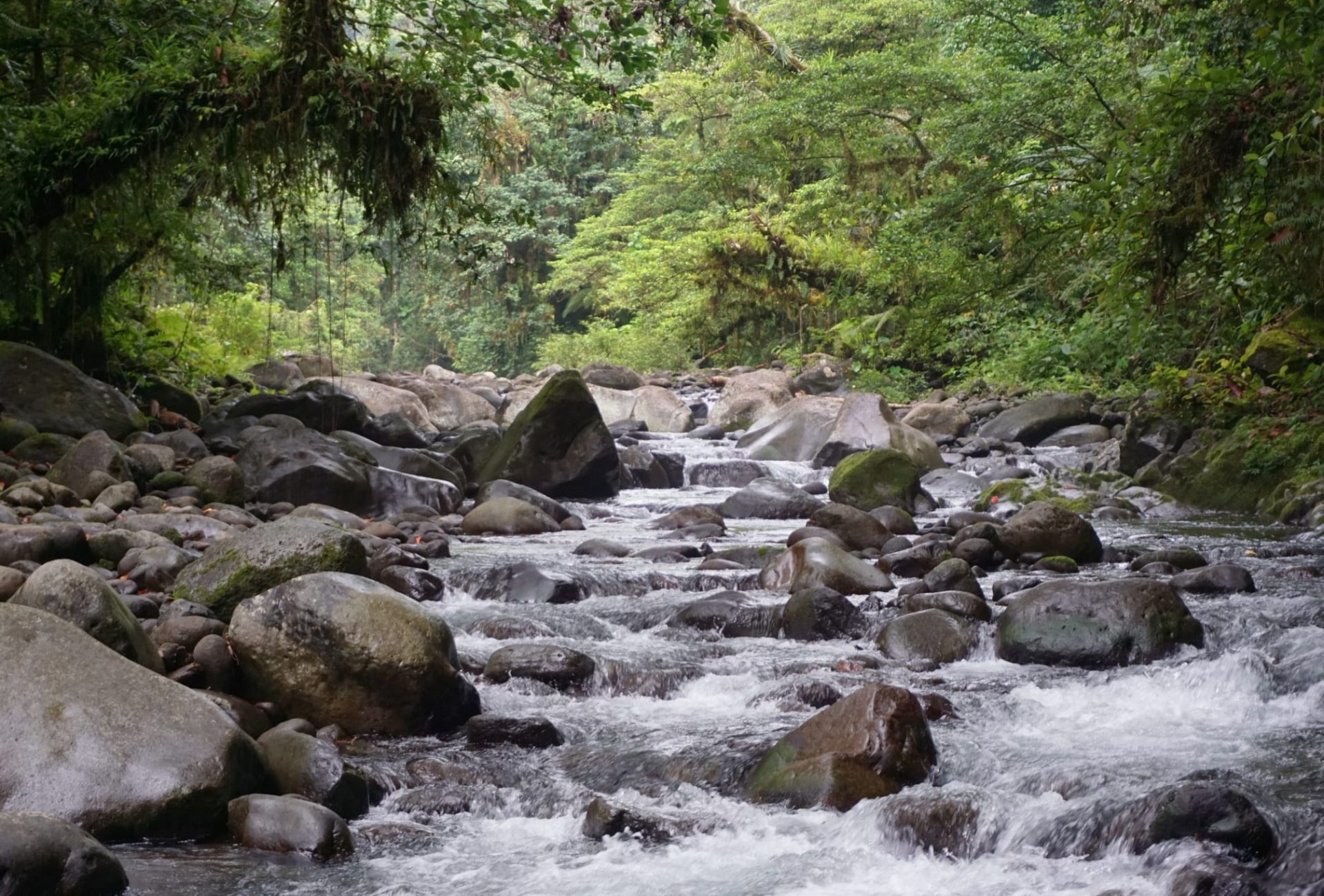 Vila River in Amazon, Brazil