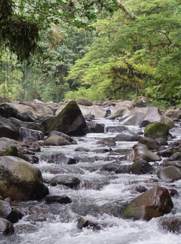 Vila River in Amazon, Brazil