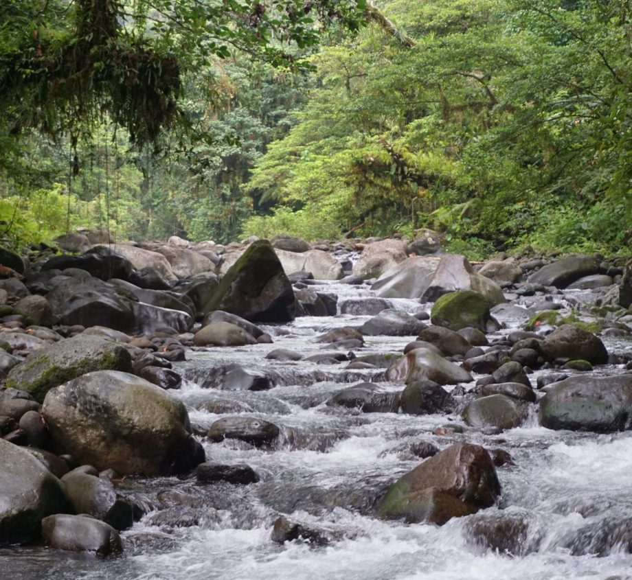 Vila River in Amazon, Brazil