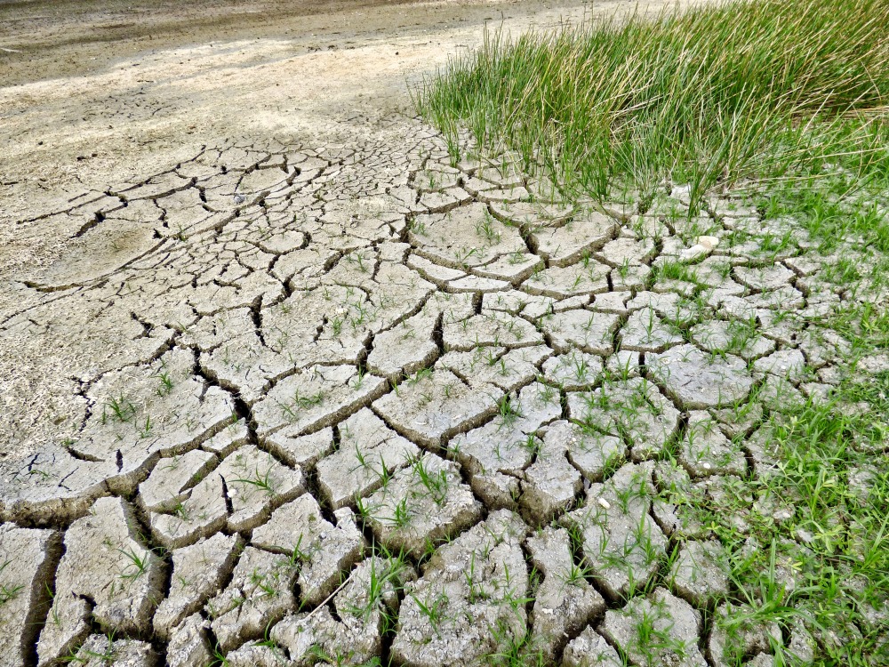 dried up dirt