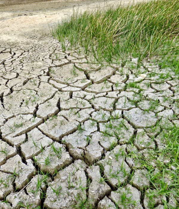 dried up dirt