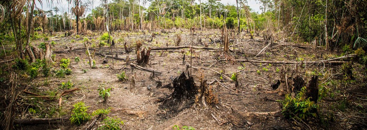 Crude Reflections / Cruda Realidad: Oil, Ruin and Resistance in the Rainforest