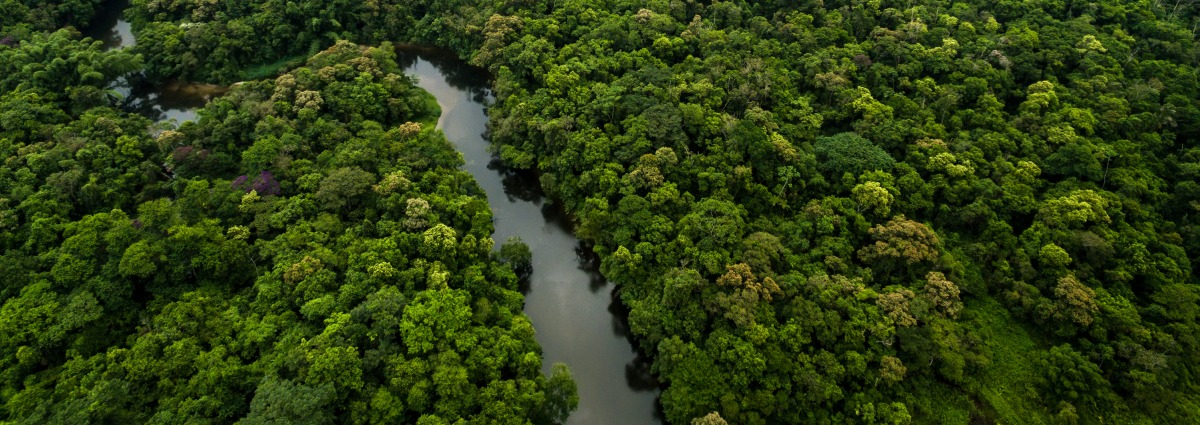 tree covered hills