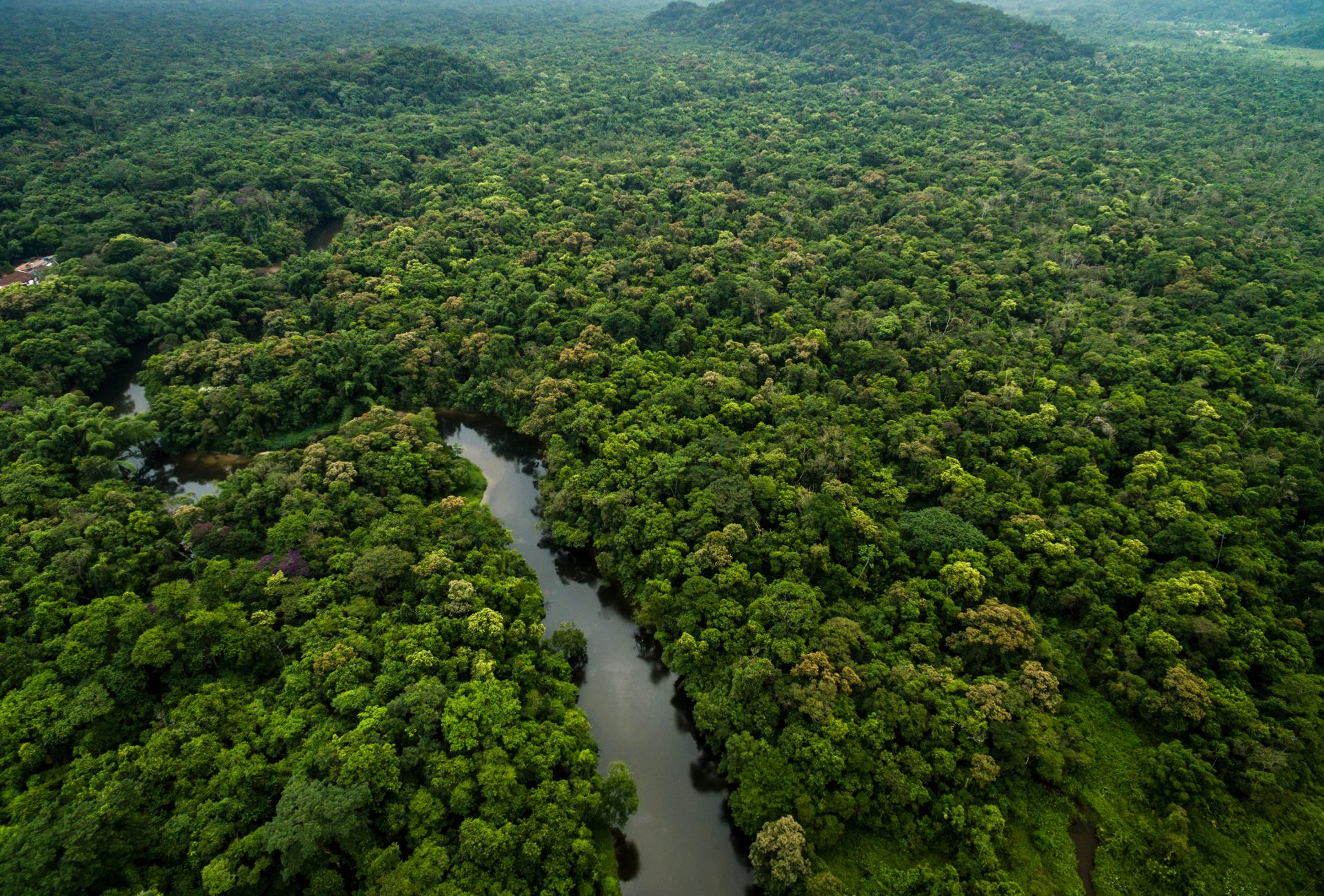 tree covered hills