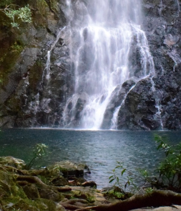 Waterfall in the Maya Forest