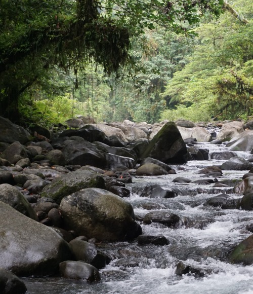 Vila River, Solomon Islands, by Stacy Jupiter