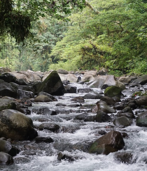 Vila River, Solomon Islands, by Stacy Jupiter