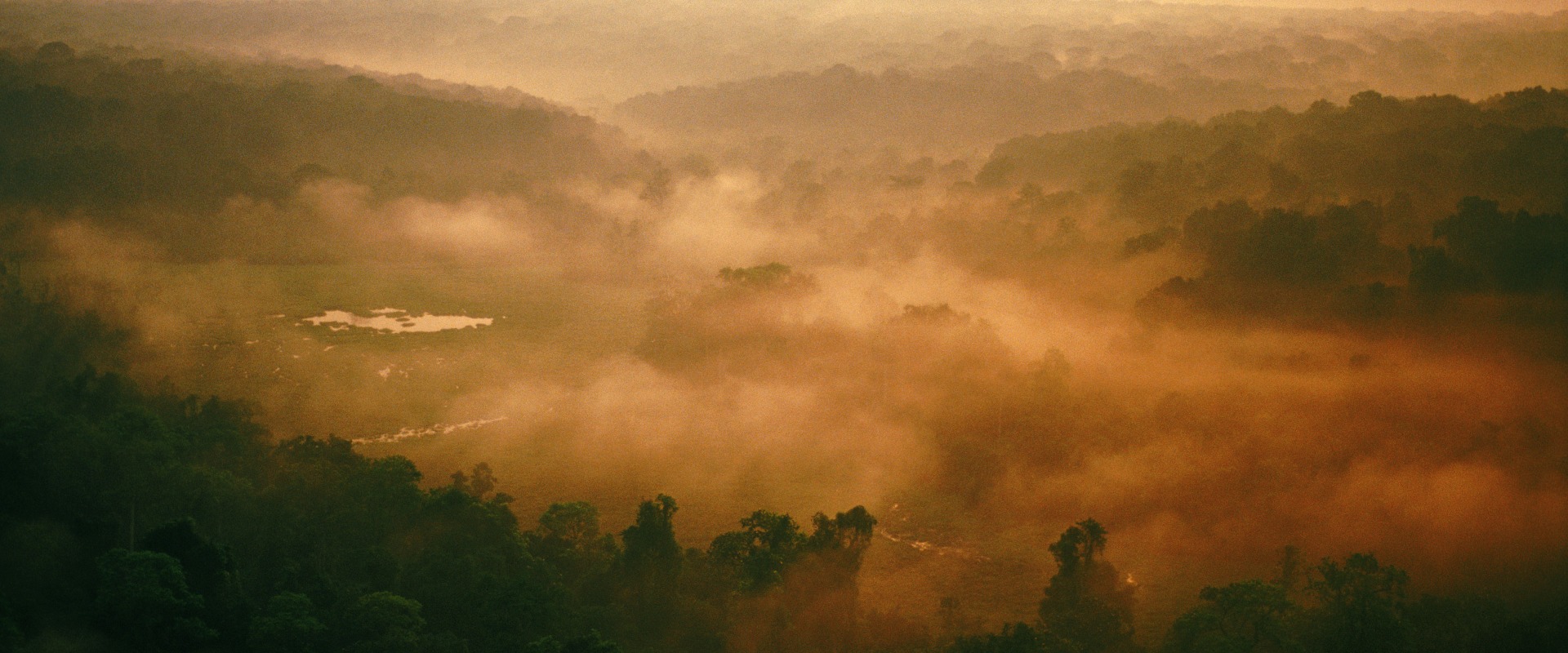 The Congo Basin