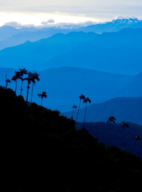 The landscape of El Dorado, Colombia