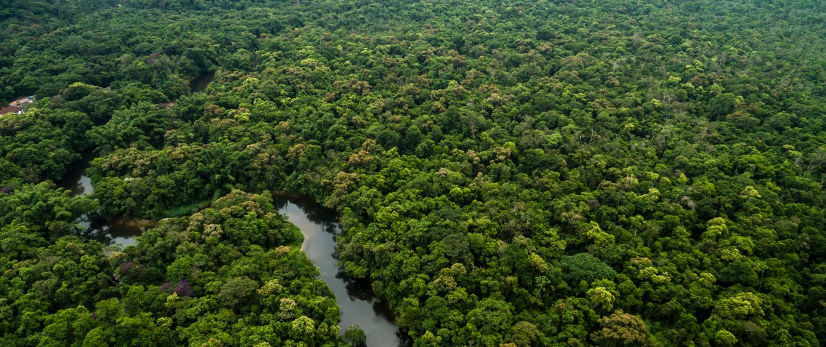 tree covered hills