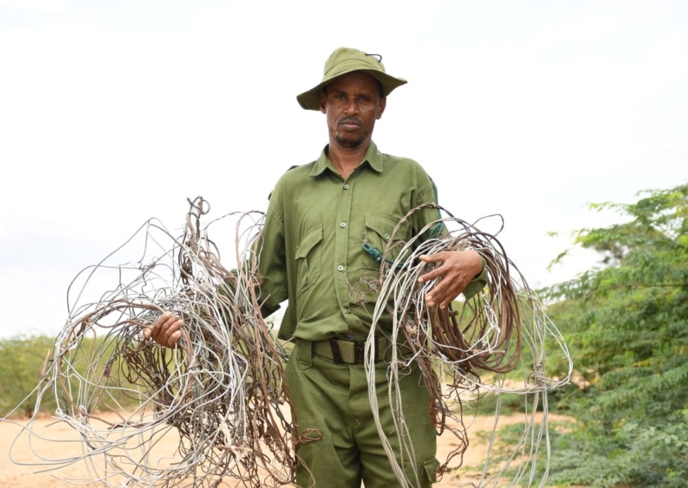 Removing snares from the Bura East Conservancy in Kenya