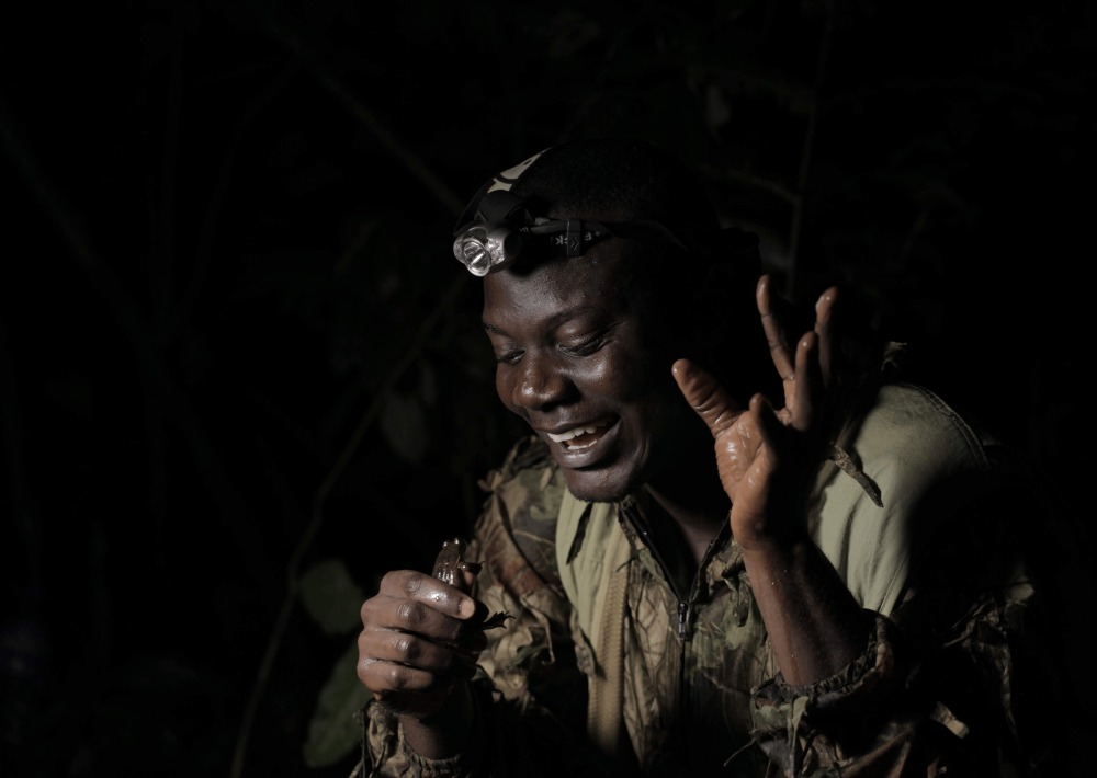 Guardian Caleb Ofori, from Herp Conservation Ghana, with Togo Slippery Frog.