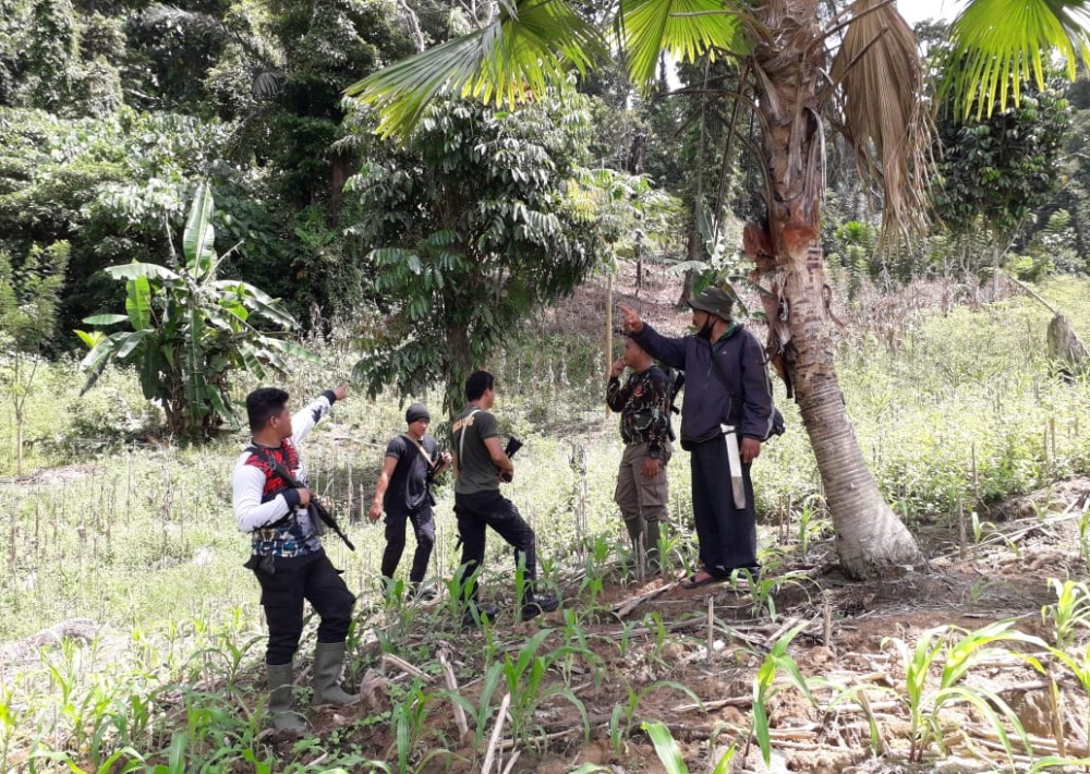 Members of our partner, YANI, patrol the Nantu forest of Indonesia.