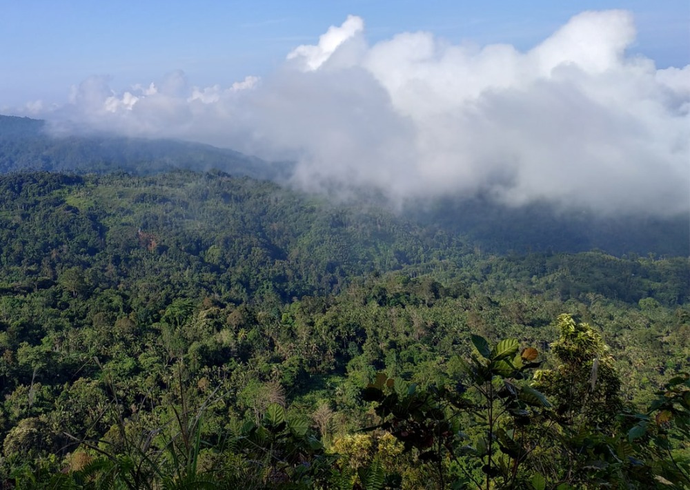 The landscape of Peling Island, Indonesia