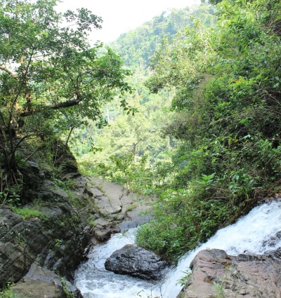 Togo-Volta Highlands, Ghana, courtesy of HERP Conservation-Ghana
