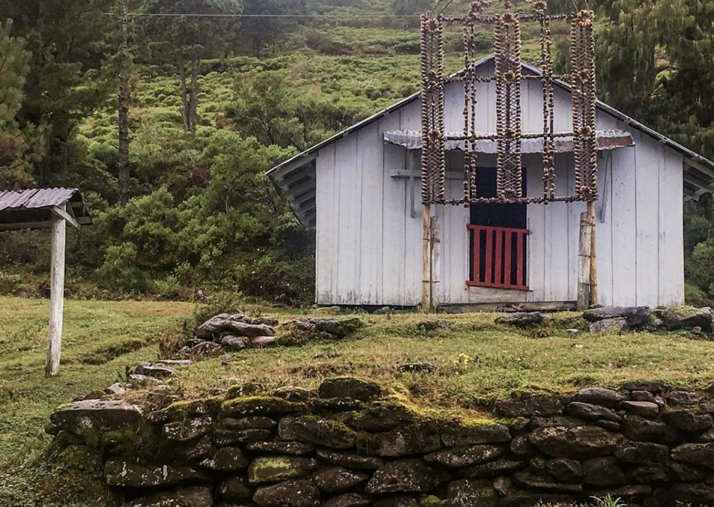 Protecting a Unique Cloud Forest in Veracruz, Mexico – Rainforest Trust