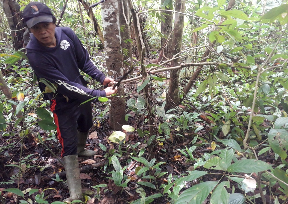 Person removing a poachers snare