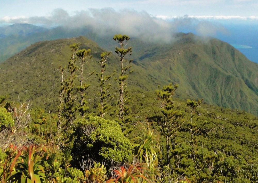 Landscape view in New Caledonia