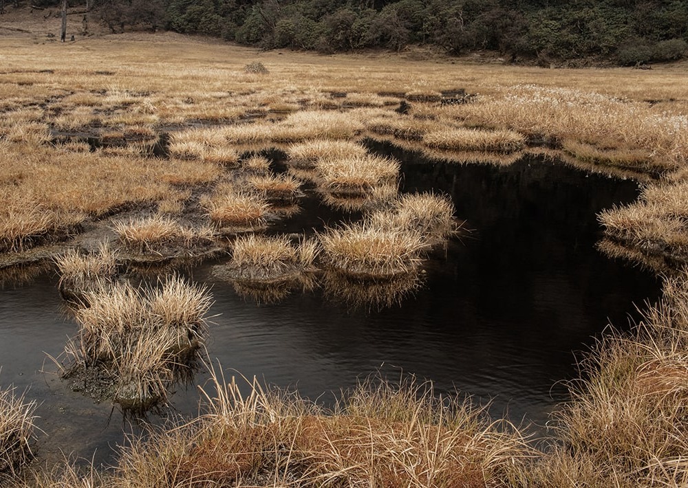 Yumikma Lake, a high-altitude peatland in Tokpegola landscape