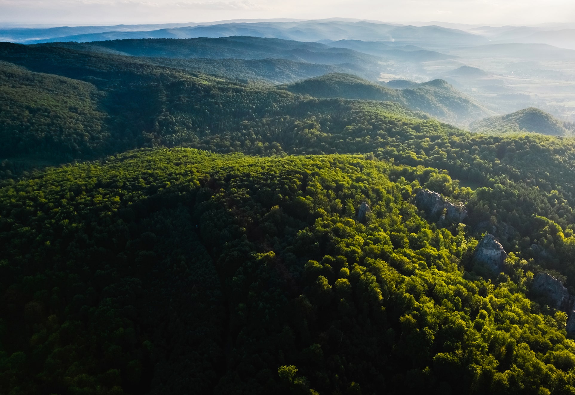 Un Sdg Landing Rainforest Trust