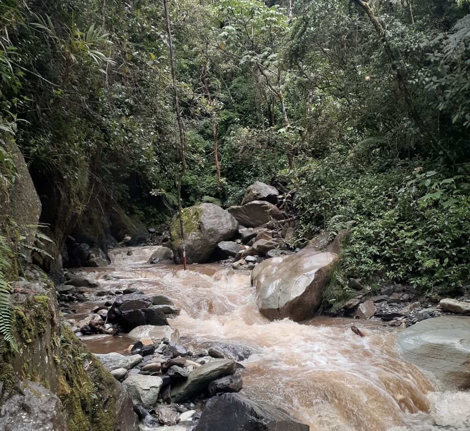 Photo from the Abra de Zamora region, courtesy of NCI