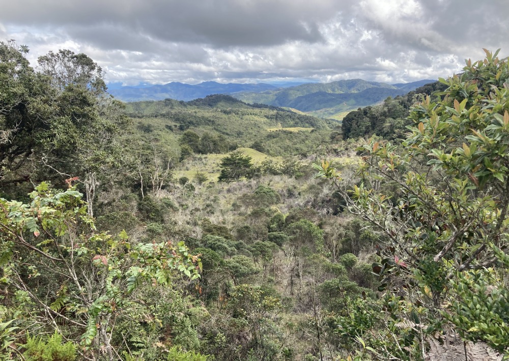 Landscape view of the Guanacas Reserve