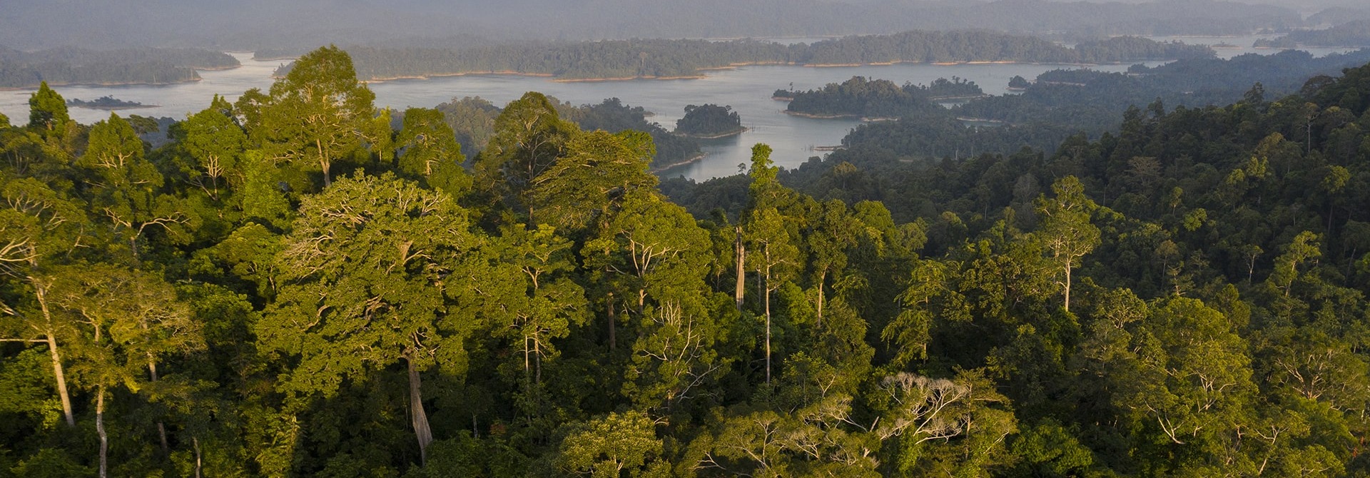 Kenyir State Park landscape
