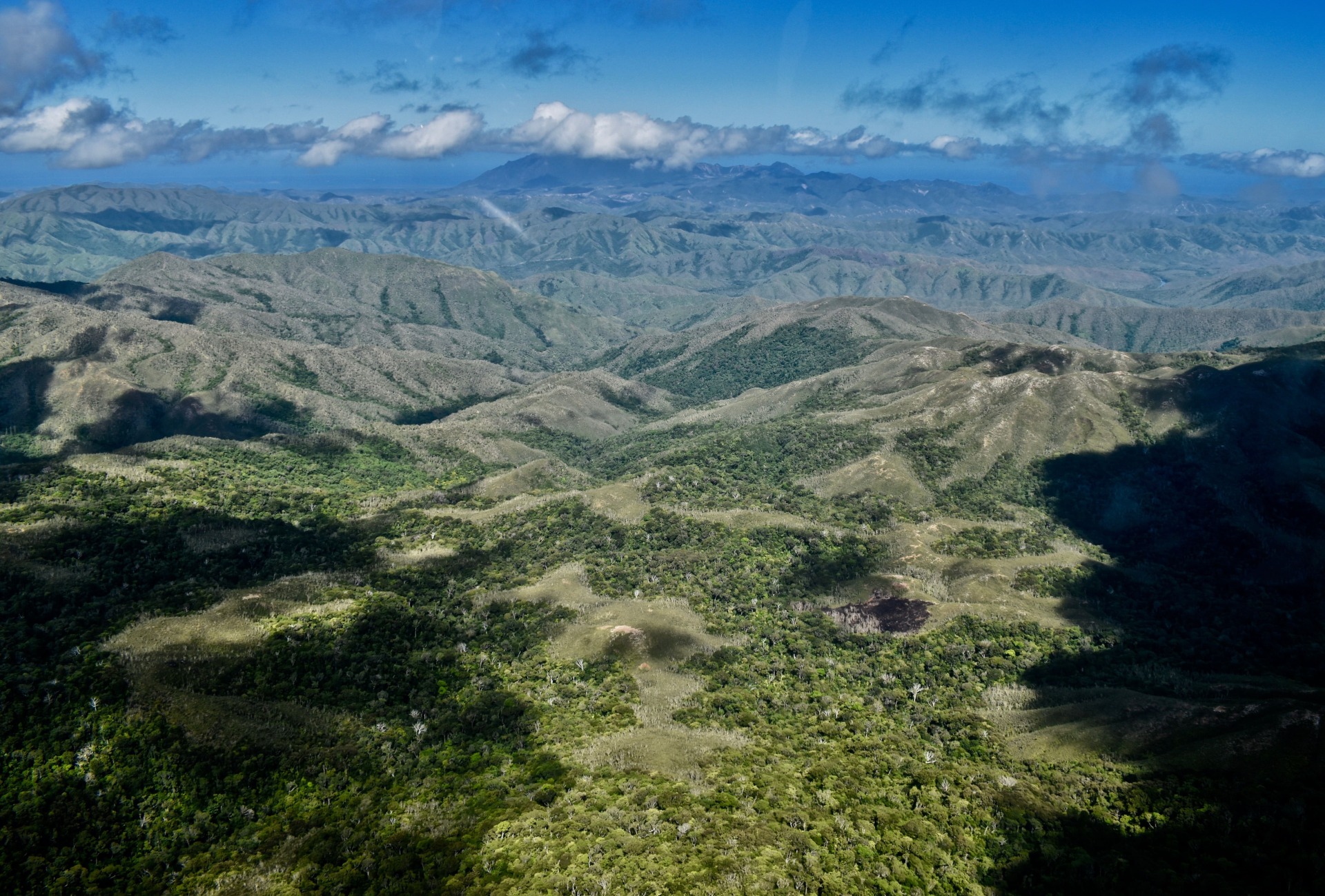 New Caledonia project area, by Rainforest Trust