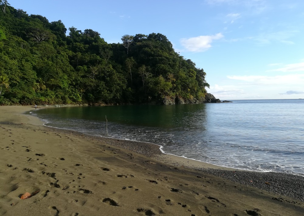The pristine beaches of the Acandi project site, courtesy of WWF-Colombia