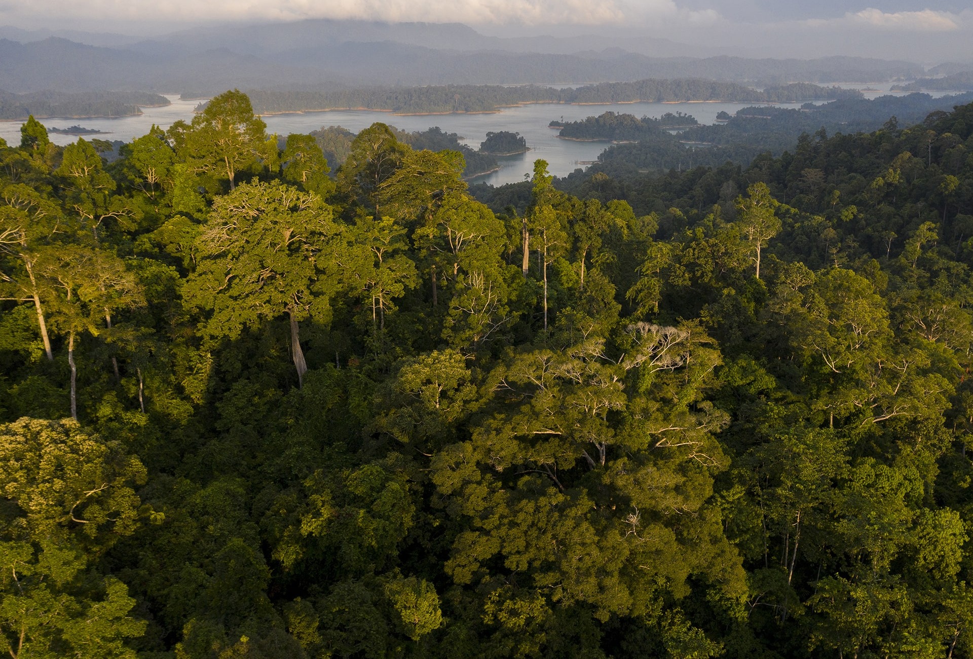 Kenyir State Park landscape