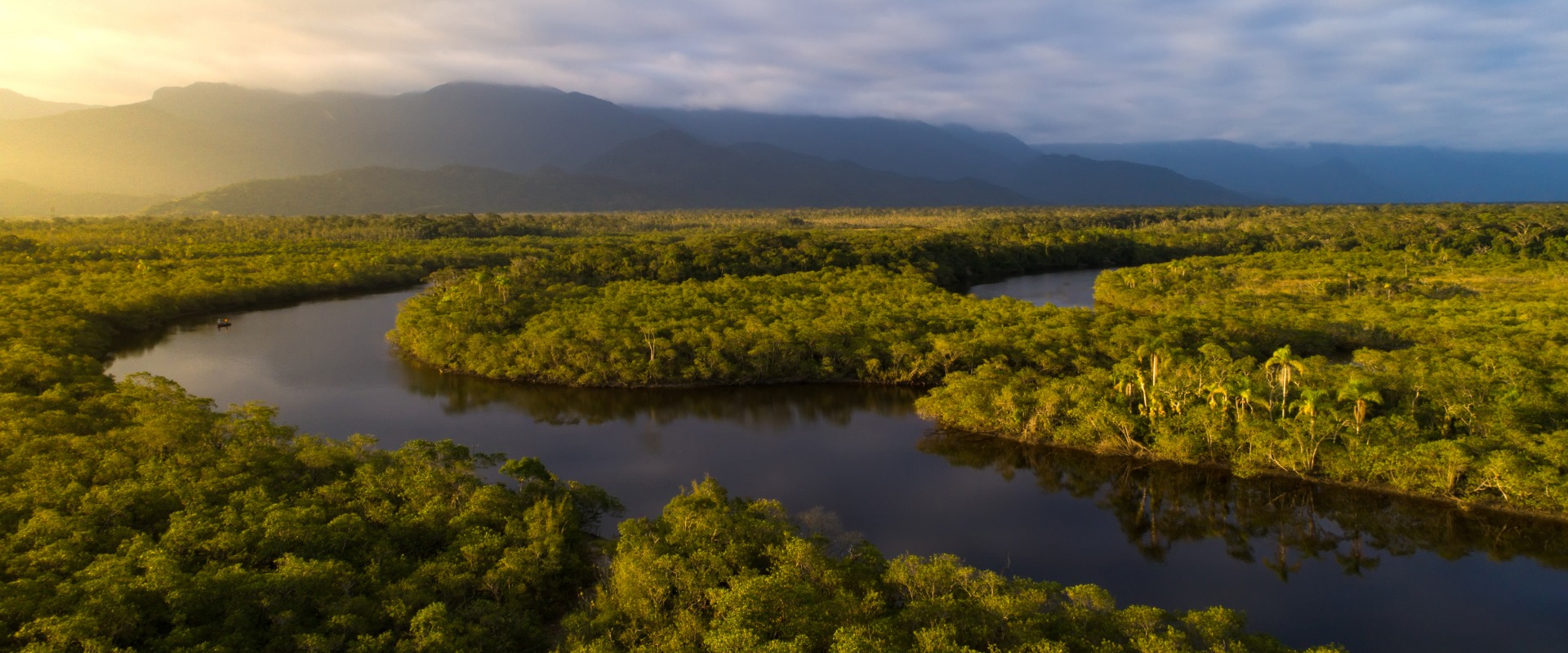 The Brazilian Amazon rainforest