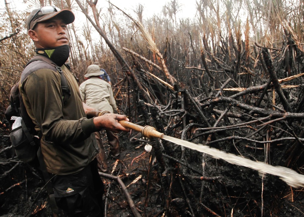 Fire Fighting in Borneo, by Bernat Ripoll Capilla/Borneo Nature Foundation