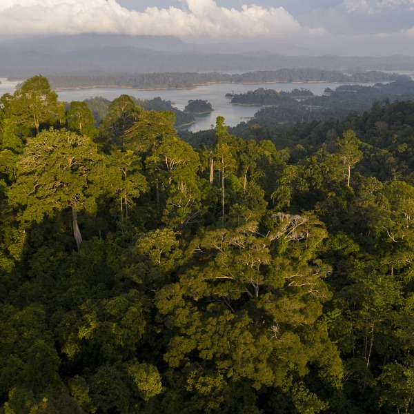 Kenyir State Park landscape